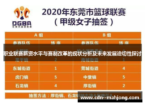 职业联赛薪资水平与赛制改革的现状分析及未来发展迫切性探讨