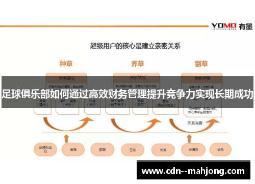 足球俱乐部如何通过高效财务管理提升竞争力实现长期成功