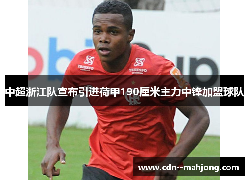 中超浙江队宣布引进荷甲190厘米主力中锋加盟球队 中超浙江队宣布引进荷甲190厘米主力中锋加盟球队